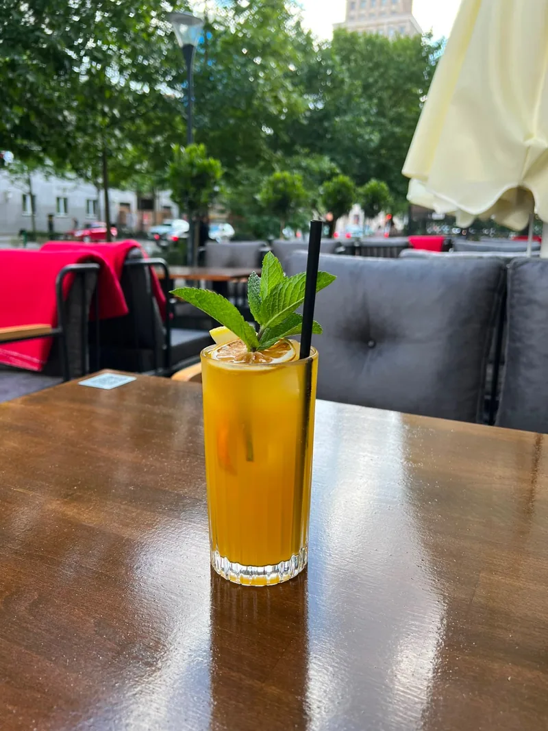 Long drink ze świeżą miętą na tarasie